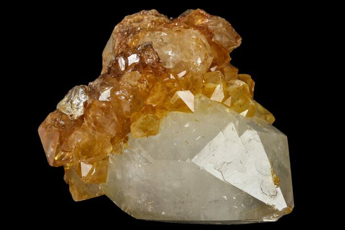 Sunshine Cactus Quartz Crystal - South Africa #115150